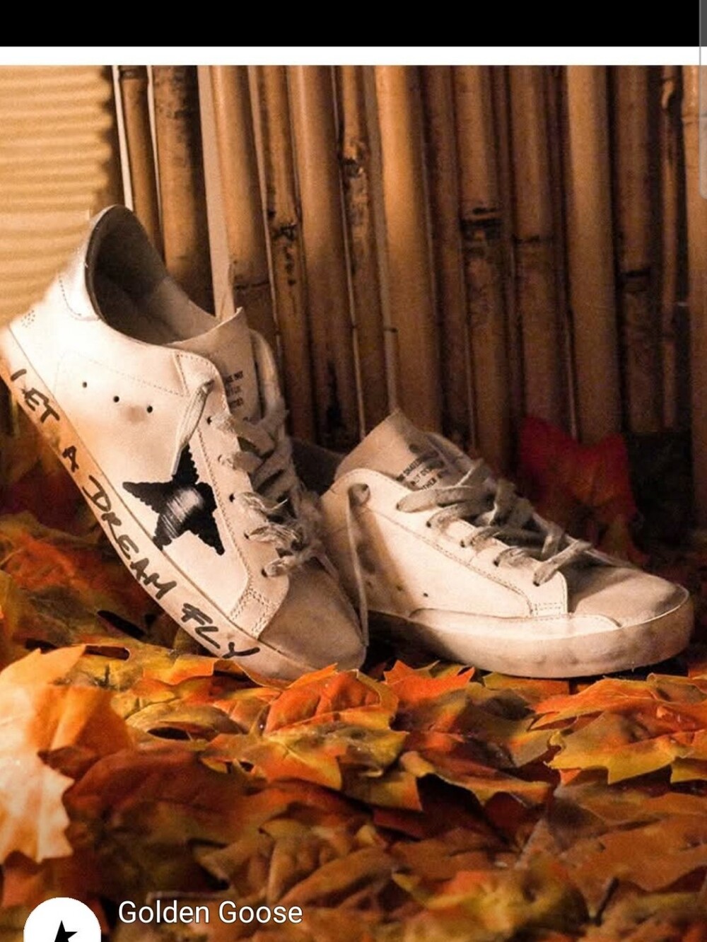 Golden Goose Let A Dream Fly Women's White and Black Leather Sneakers 38